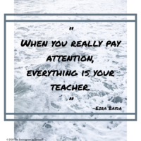 wednesday_ezra_bayda_quote_xs